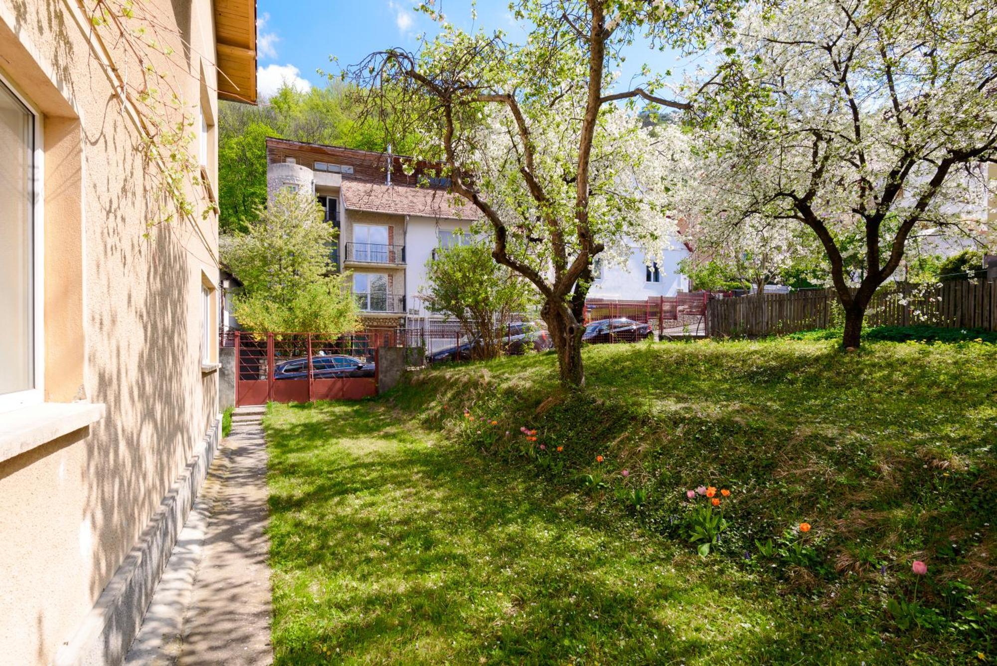 Apartamento Casa Cu Cires Braşov Exterior foto